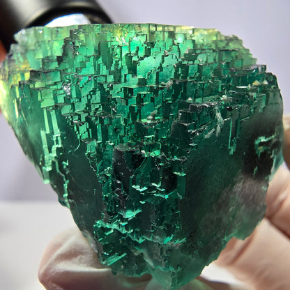Spécimen de cube de fluorite fantôme transparente, vert parqueté, Okorusu, Namibie, 52 x 49 x 41 mm 