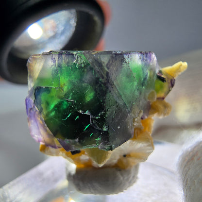 Cube de fluorite fantôme zonal, tourmaline muscovite Schörl Erongo Namibie 24 x 20 x 18 mm 