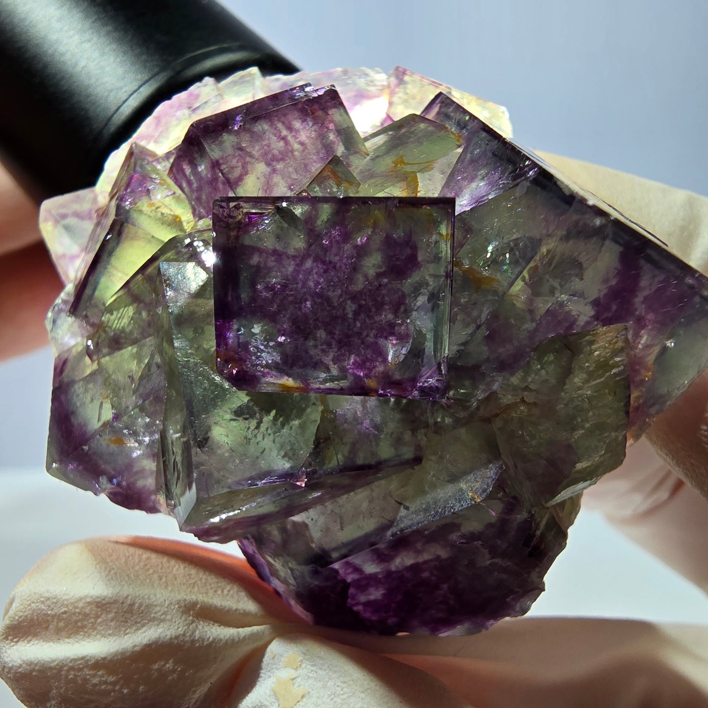 Spécimen de cube de fluorite fantôme, parqueté vert violet Okorusu, Namibie 46*41*26 mm 