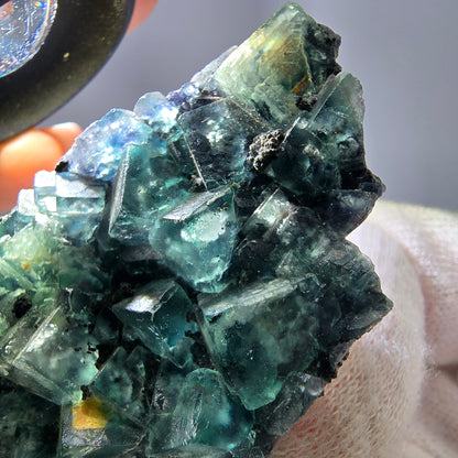 Cubes rares de fluorite fantôme zonale, vert violet, Erongo, Namibie 74 x 41 x 9 mm 