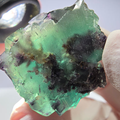Spécimen de cube de fluorite fantôme parqueté vert violet Okorusu, Namibie 31*28*24mm 