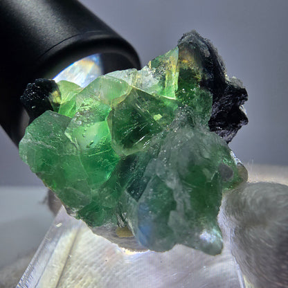 Fluorite fantôme, tourmaline Schörl, muscovite, hyalite, stade Erongo, Namibie 27*25*20 mm 
