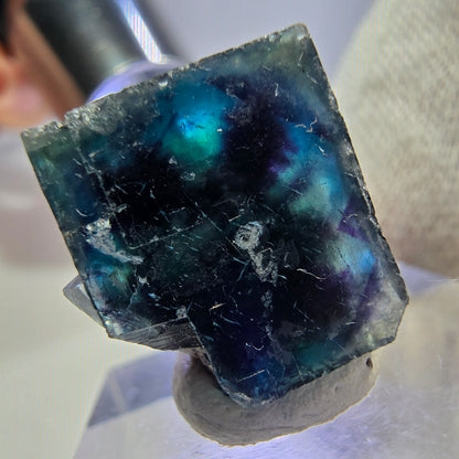 Spécimen de cube de fluorite fantôme, zonal - Nouvelle découverte ! Okorusu, Namibie 22*16*16mm 