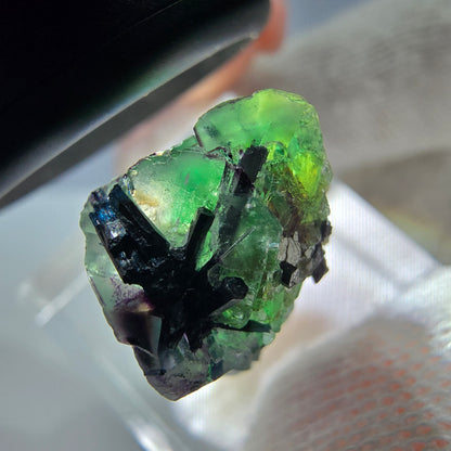Cube de fluorite fantôme zonal, tourmaline muscovite Schorl Erongo Namibie 24 x 16 x 12 mm 