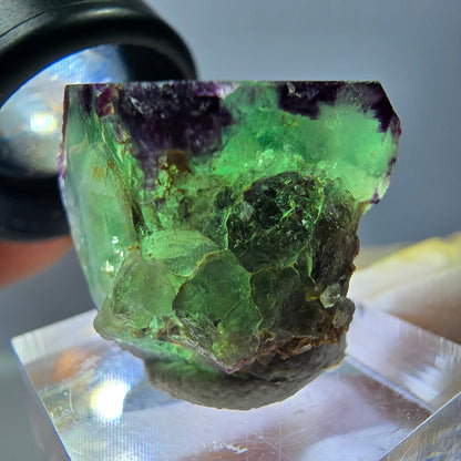 Cube de fluorite fantôme parqueté, zonal, vert violet Okorusu, Namibie 22*21*19mm 