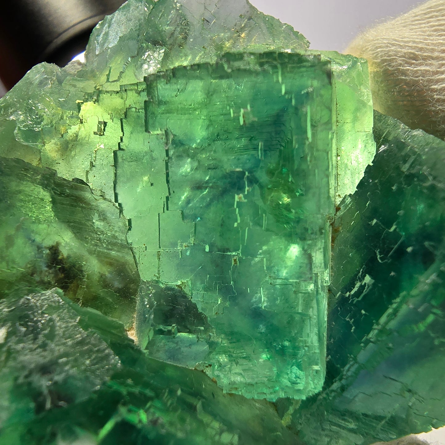 Rare Phantom Fluorite Cube Specimen Parquetted Green Okorusu Namibia 69*54*23mm