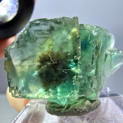 Spécimen de cube de fluorite fantôme, parquet vert Okorusu, Namibie 38 x 25 x 13 mm 