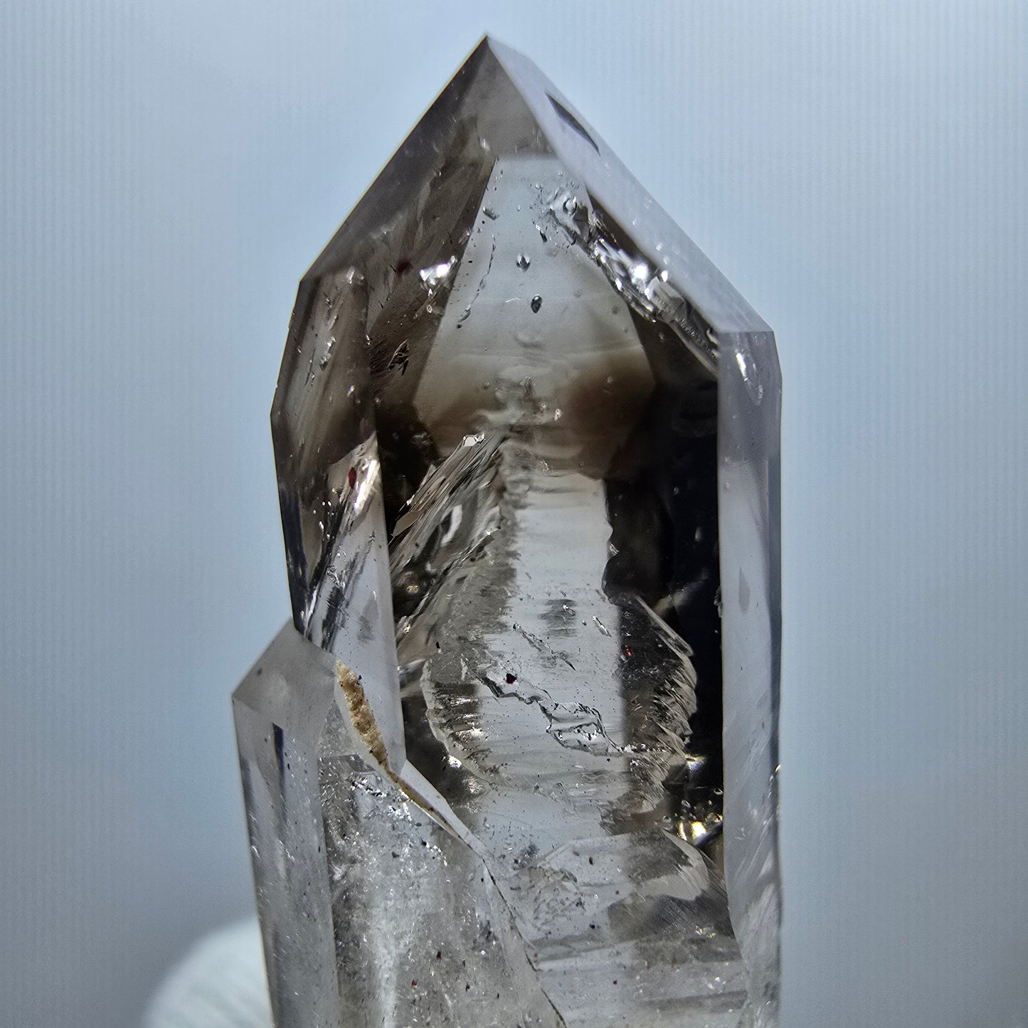 Sceptre Enhydro Phantom Smoky Quartz DT, 2x Bubble Goboboseb, Namibie 42 x 12 x 13 mm 