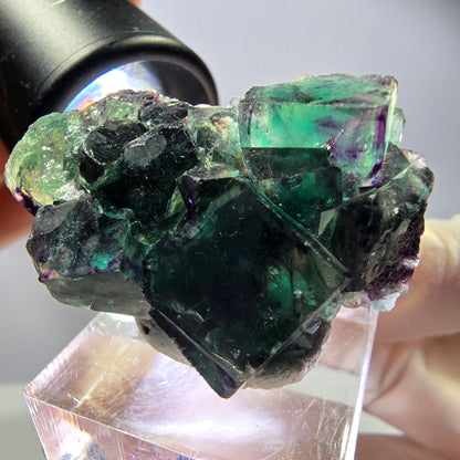 Rare Fluorite Cube Specimen, green purple Okorusu, Namibia 42*25*17mm 