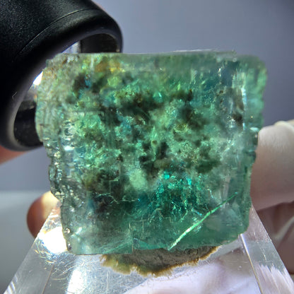 Klarer Phantom Fluorit Würfel parkettiert, grün Okorusu, Namibia 21*20*16mm