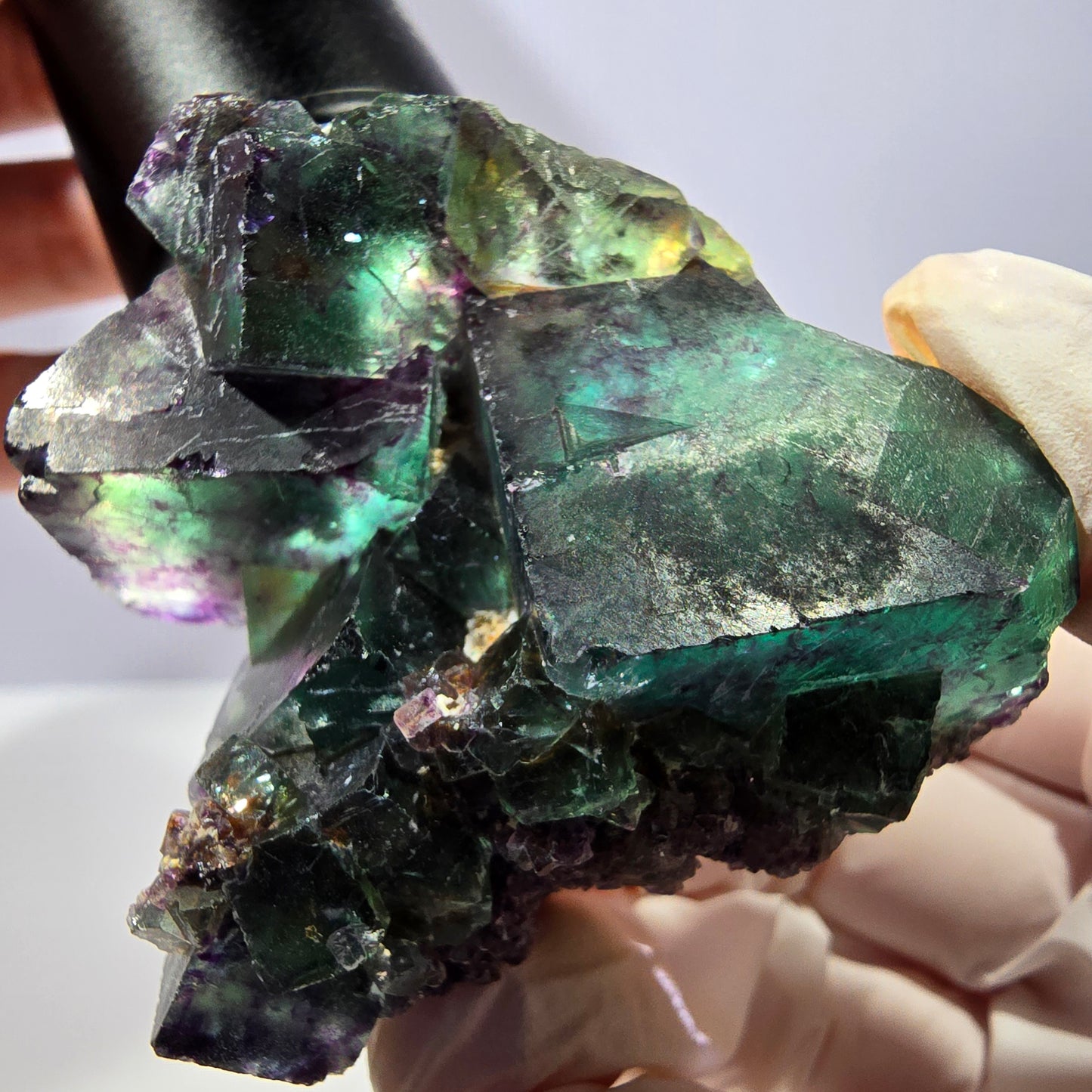 Spécimen de cube de fluorite fantôme, parqueté vert violet Okorusu, Namibie 56*43*28 mm 