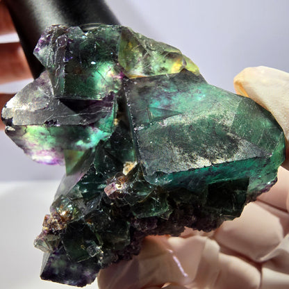 Spécimen de cube de fluorite fantôme, parqueté vert violet Okorusu, Namibie 56*43*28 mm 
