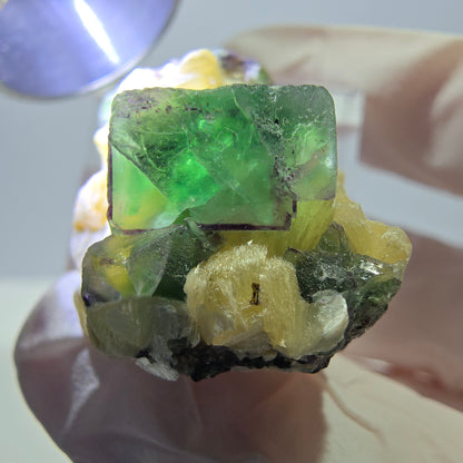 Cube de fluorite fantôme, zonal, muscovite, spécimen de tourmaline Schorl, Erongo, Namibie, 35 x 21 x 20 mm 