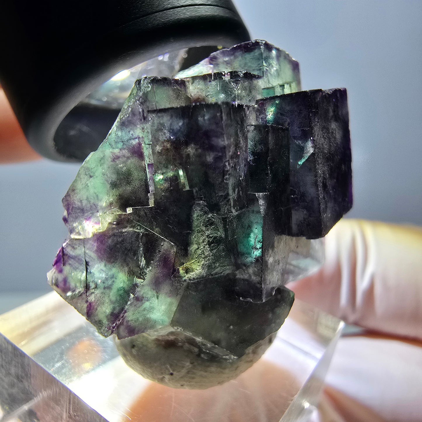 Phantom Fluorit Würfel Stufe, parkettiert grün lila Okorusu, Namibia 29*28*16mm