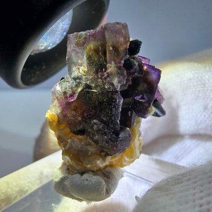 Spécimen de fluorite fantôme colorée, tourmaline scholle, muscovite, Erongo, Namibie, 25 x 22 x 14 mm 