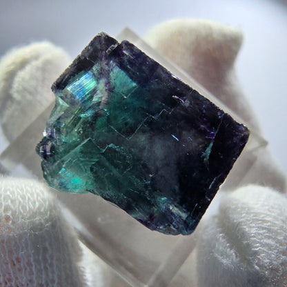 Spécimen rare de cube de fluorite fantôme, vert zonal et violet, Okorusu, Namibie, 23 x 18 x 14 mm 