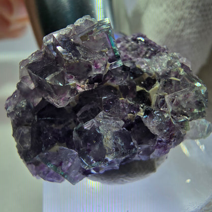 Spécimen de cube de fluorite fantôme transparente, vert-violet zonal, Okorusu, Namibie, 27 x 20 x 12 mm 