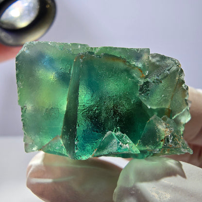 Spécimen de cube de fluorite fantôme transparente, vert parqueté, Okorusu, Namibie, 48 x 29 x 25 mm 