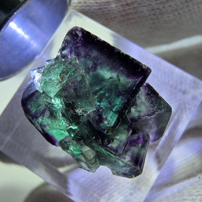 Spécimen de cube de fluorite fantôme zonal, vert violet Okorusu, Namibie 19*15*13mm 