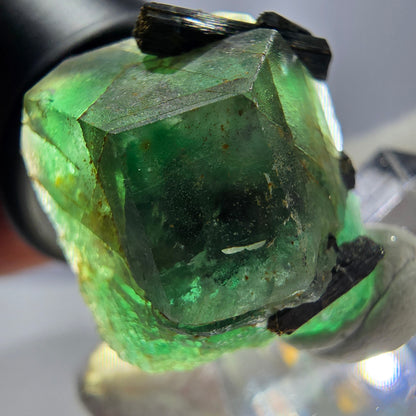 Spécimen de tourmaline Schorl hexagonale en fluorite fantôme, Erongo, Namibie, 23 x 22 x 22 mm 