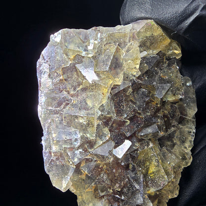 Honey Pocket Phantom Fluorite stage jaune violet Okorusu Namibie 49*37*11mm collection