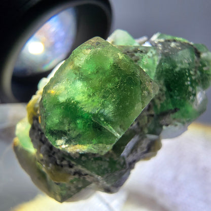 Fluorite fantôme, tourmaline Schörl, stade muscovite Erongo Namibie 31*20*25mm 
