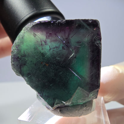 Rare cube de fluorite fantôme parqueté vert violet Okorusu Namibie 31*30*30mm 
