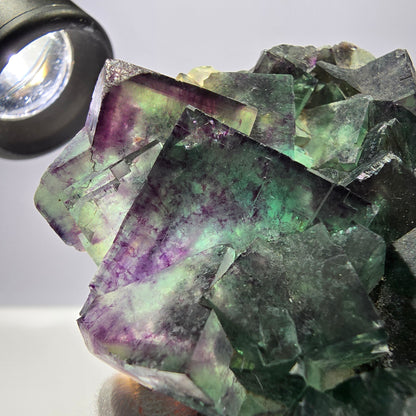Rare spécimen de cube de fluorite fantôme, parqueté zonal Okorusu Namibie 76 x 62 x 27 mm 