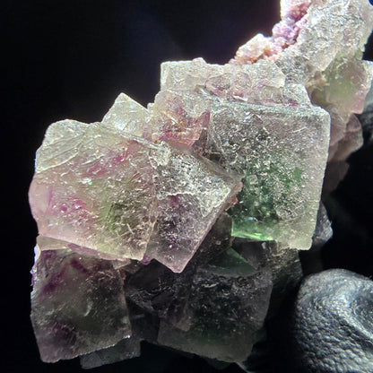 Phantom Fluorite Cube Tier Violet Vert Blanc Erongo, Namibie 55*35*21mm Collection
