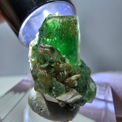 Cube de fluorite fantôme, spécimen de muscovite, Erongo, Namibie, 23 x 17 x 17 mm 