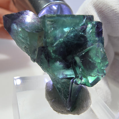 Rare spécimen de cube de fluorite fantôme, vert-violet zonal, Okorusu, Namibie, 31 x 21 x 15 mm 