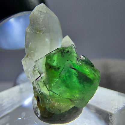 Cube de fluorite fantôme, spécimen de quartz fumé, Erongo, Namibie, 19 x 10 x 12 mm 