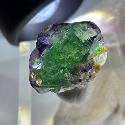 Cube de fluorite fantôme, spécimen de muscovite, Erongo, Namibie, 18 x 14 x 10 mm 
