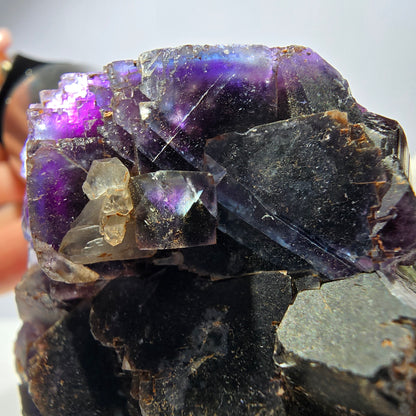 Spécimen de cube de fluorite fantôme, violet, rouge et bleu, Okorusu, Namibie, 91 x 58 x 22 mm 