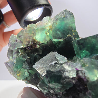 Spécimen de cube de fluorite fantôme parqueté vert violet Okorusu, Namibie 55*48*39mm 
