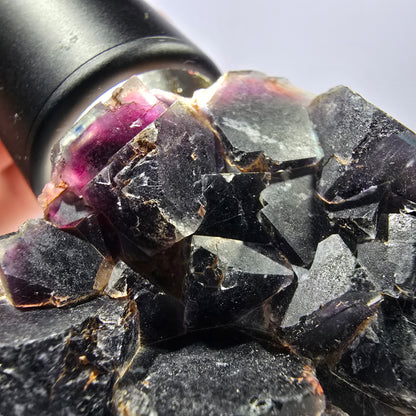 Rare spécimen de cube de fluorite fantôme, bleu-violet Okorusu, Namibie 53 x 48 x 23 mm 