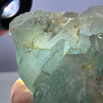 Rare spécimen de cube de fluorite fantôme, vert et blanc, Okorusu, Namibie, 61 x 51 x 34 mm 