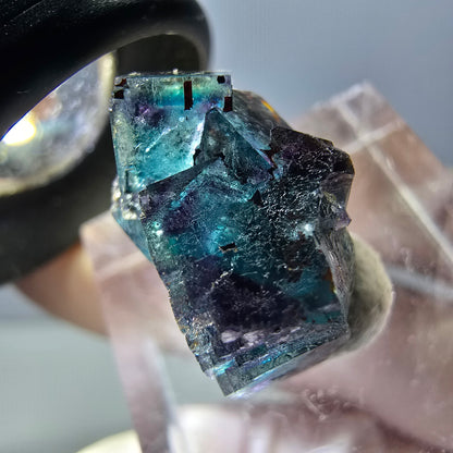 Spécimen de cube de fluorite fantôme, parqueté vert violet Okorusu, Namibie 20 x 15 x 12 mm 