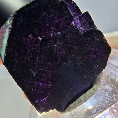 Phantom Fluorit Würfel Stufe grün lila zonal 11:11 Angel Pocket, Namibia 20*19*19mm