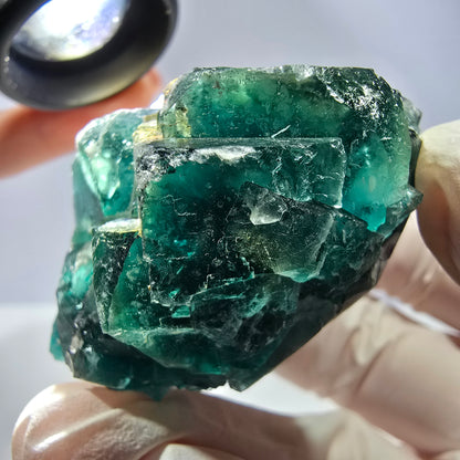 Spécimen de cube de fluorite fantôme, parqueté vert violet Okorusu, Namibie 53*49*28 mm 