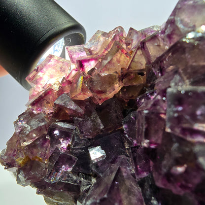 Seltene Phantom Fluorit Würfel Stufe, lila grün Okorusu Namibia 72*50*27mm