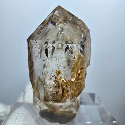 Sceptre Enhydro Phantom Smoky Quartz DT, 1x Bubble Goboboseb, Namibie 28*14*10mm 