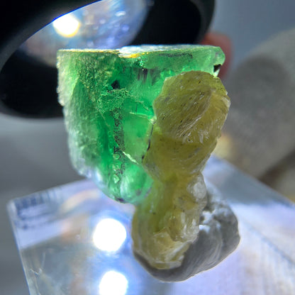 Cube de fluorite fantôme zonal, spécimen de muscovite, Erongo, Namibie, 19 x 13 x 11 mm 