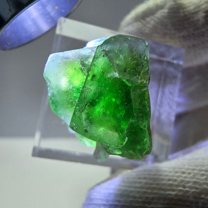 Cube de fluorite fantôme, spécimen de tourmaline Schorl, Erongo, Namibie, 23 x 19 x 15 mm 