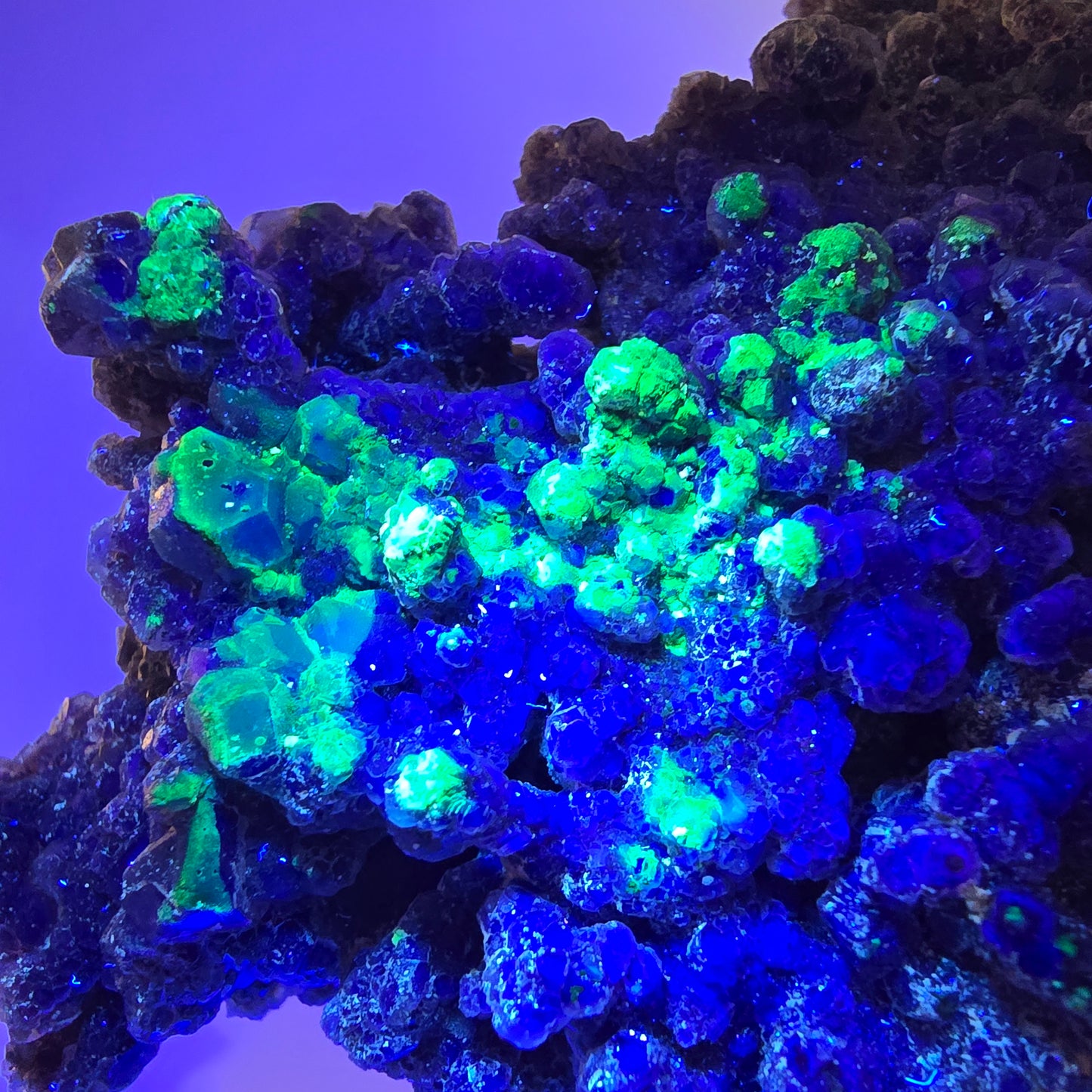 Fluorite fantôme XL, muscovite, hyalite, quartz fumé, tourmaline Schörl, Erongo, Namibie, 100 x 97 x 69 mm 