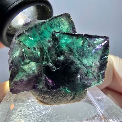 Spécimen de cube de fluorite fantôme, parqueté vert violet Okorusu, Namibie 27 x 24 x 15 mm 