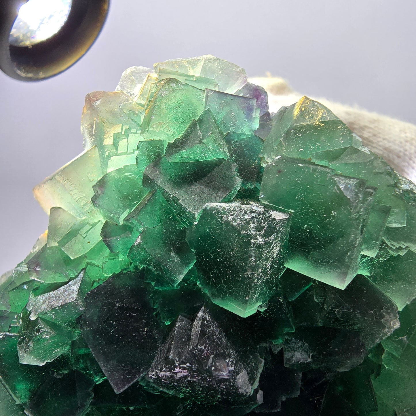 Grand spécimen de cube de fluorite fantôme, parqueté, double face Okorusu, Namibie 98*91*71mm 