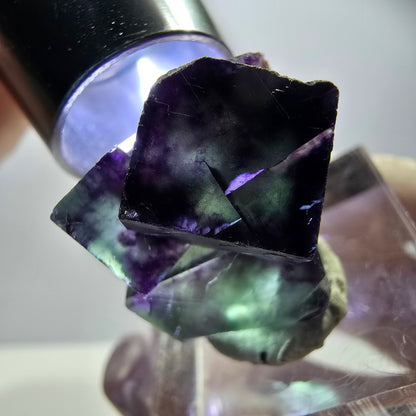 Rare Fluorite Cube Specimen, green purple Okorusu, Namibia 24*21*19mm 