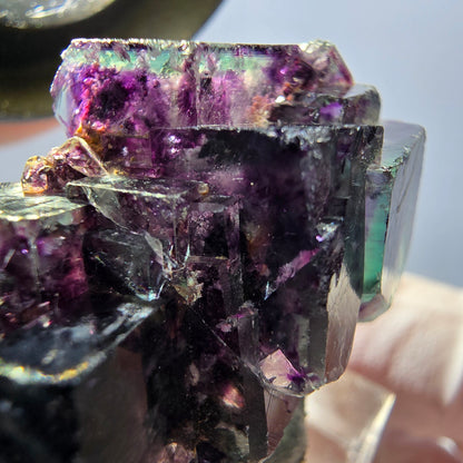 Spécimen de cube de fluorite fantôme, parqueté vert violet Okorusu, Namibie 34*24*19 mm 