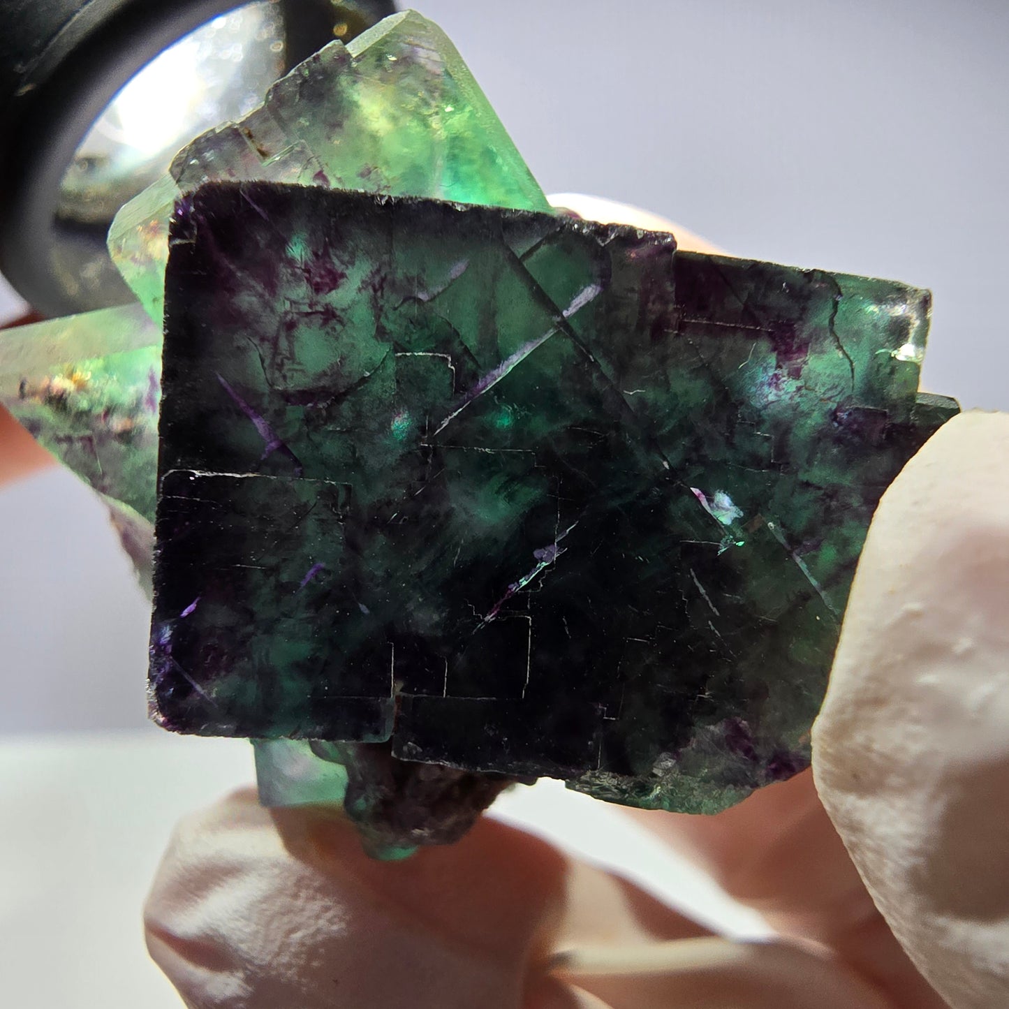 Spécimen de cube de fluorite fantôme parqueté vert violet Okorusu, Namibie 32*31*24 mm 